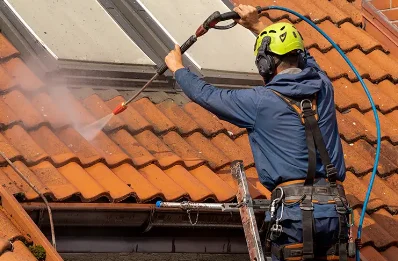 Démoussage et hydrofuge de toiture à Louresse-Rochemenier